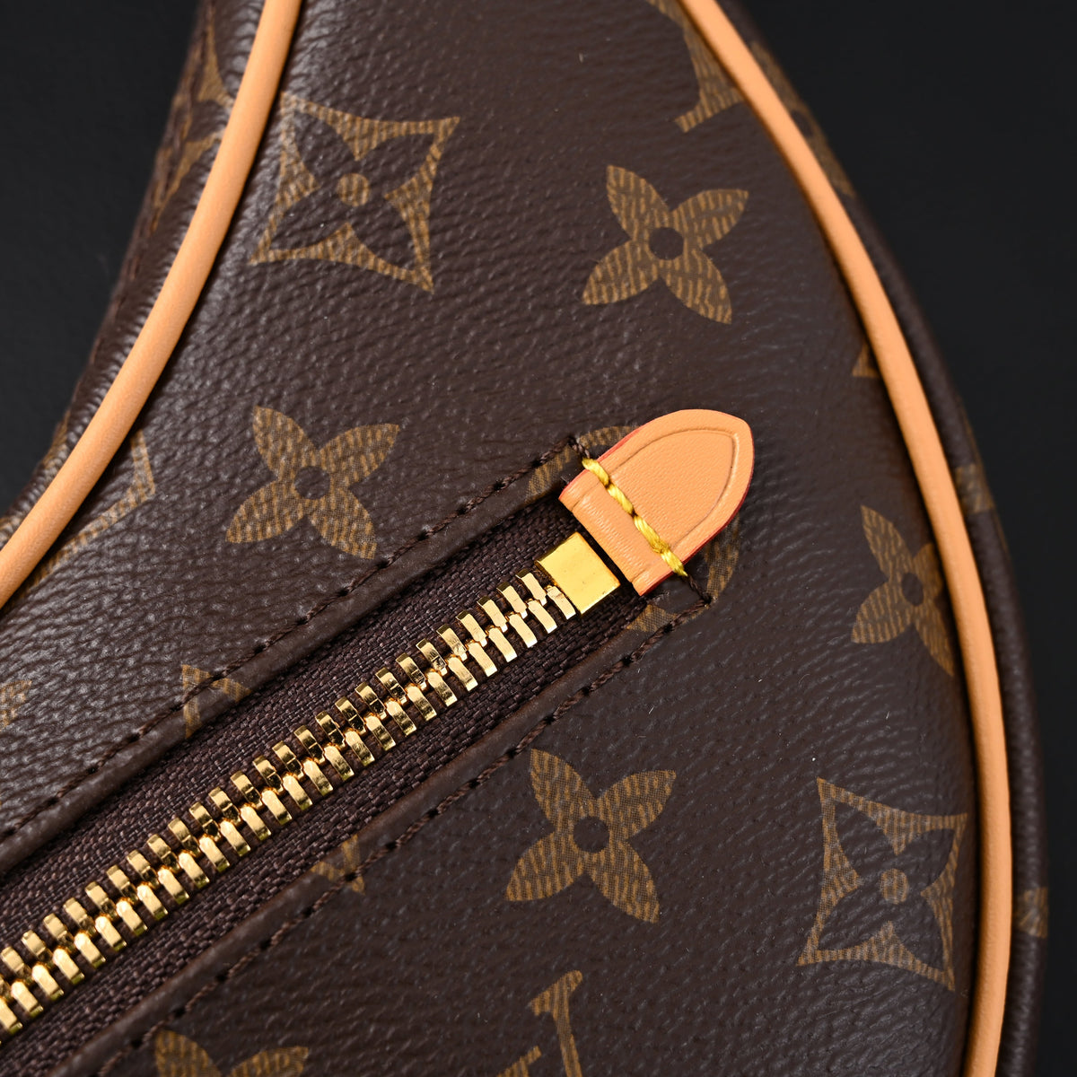 Louis Vuitton Loop Bag – Monogram Canvas with Gold Chain